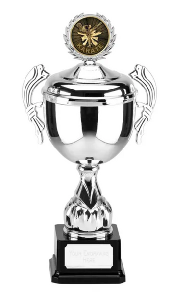 Hero Orion Cup - Gold or Silver - 4 x SIZES- 610d