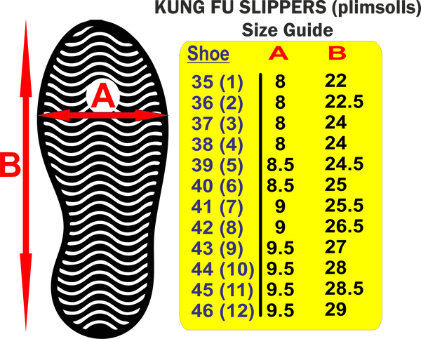 Kung Fu Slippers (shoes)