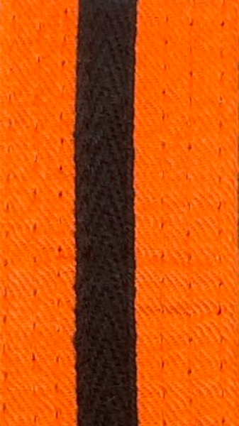 Coloured Belts with Black Stripe (New 2026)