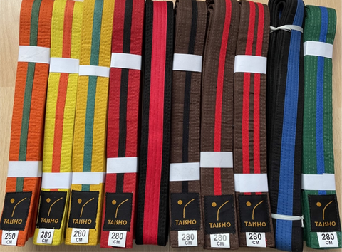 Coloured Belts with Coloured Stripe