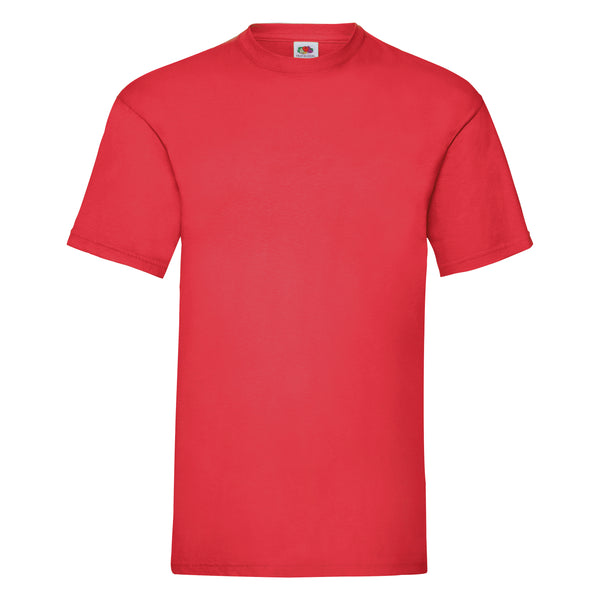 Mens Valueweight T-shirts (Fruit of the Loom) - SS030 ~ 14 NEW COLOURS