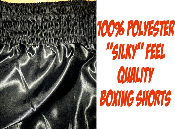 Taisho Boxing Gloves